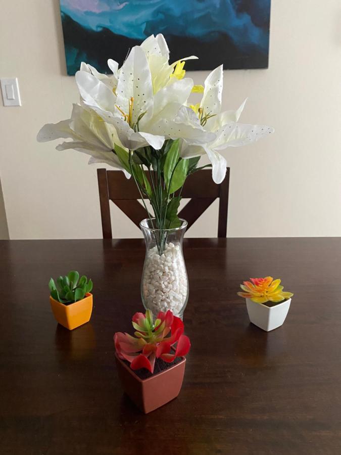 Private Room In South Philly Near Arenas! Philadelphie Extérieur photo